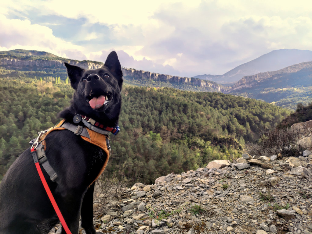 Juna in front of a view of the valley